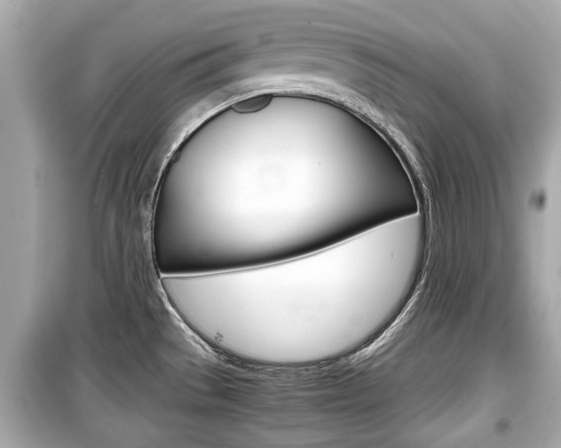 X0000099551529200805160714