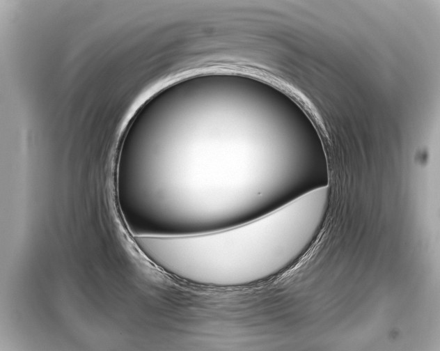 X0000099551530200805160714