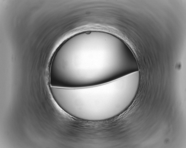X0000099551531200805160714