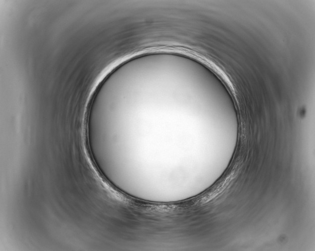X0000099551533200805160714