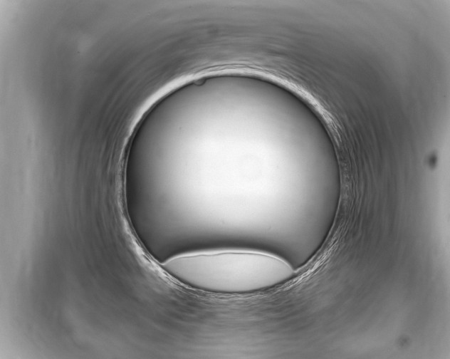 X0000099551534200805160714