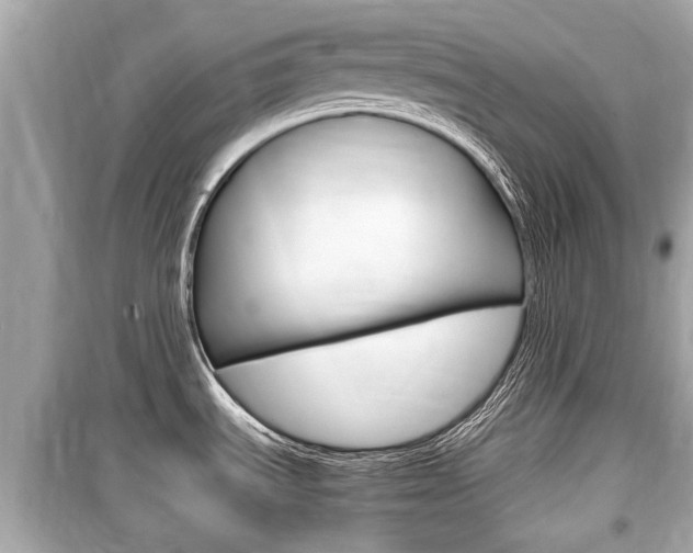 X0000099551535200805160714