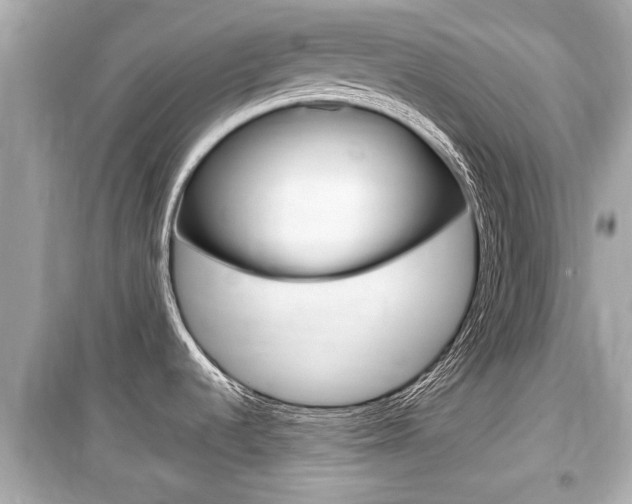 X0000099551536200805160714