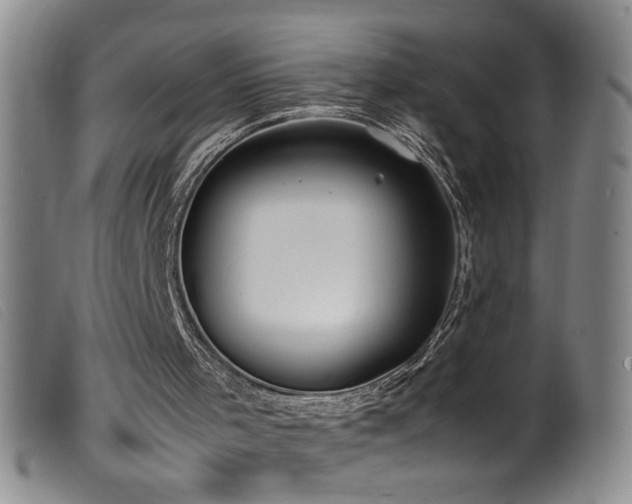 X0000099550001200805161503