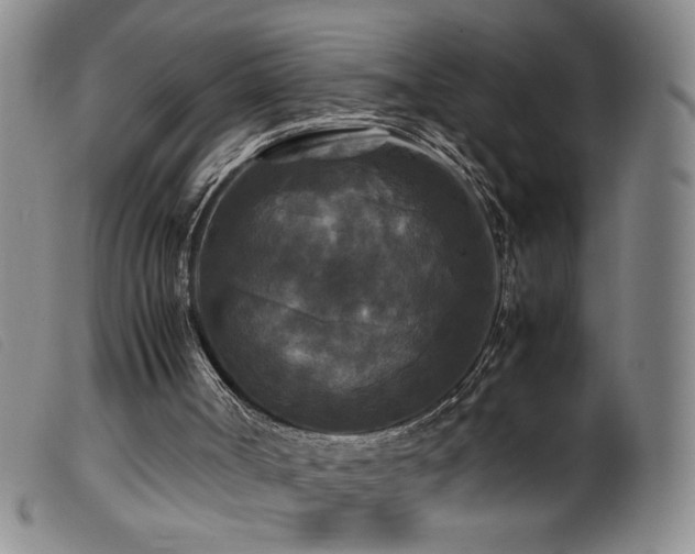 X0000099550002200805161503