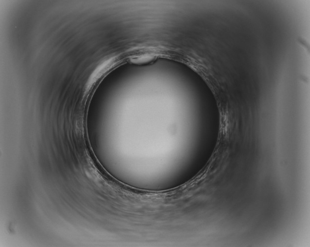 X0000099550004200805161503