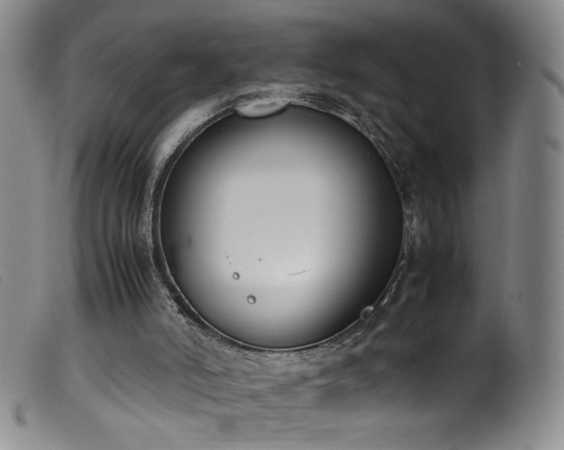 X0000099550006200805161503
