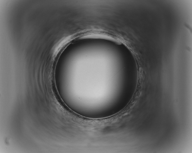 X0000099550007200805161503