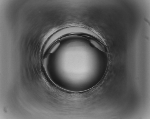 X0000099550008200805161503