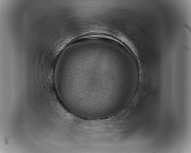 X0000099550009200805161503