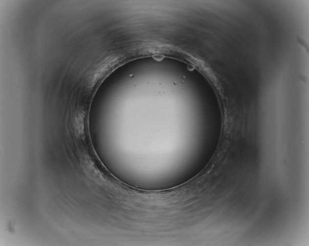 X0000099550010200805161503