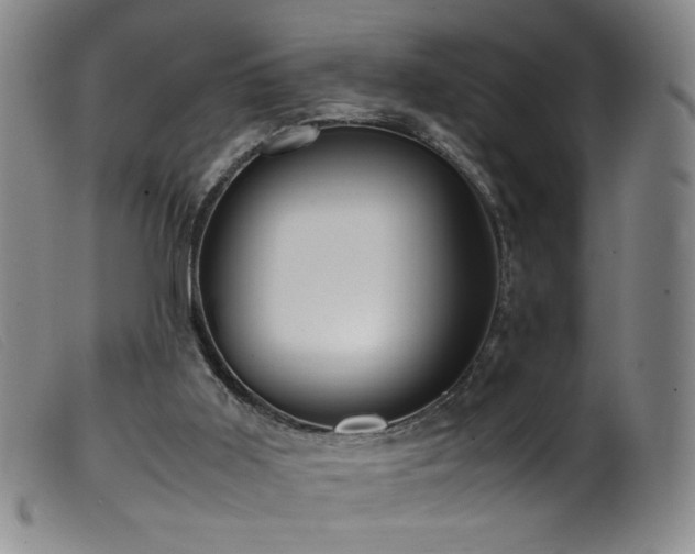 X0000099550011200805161503