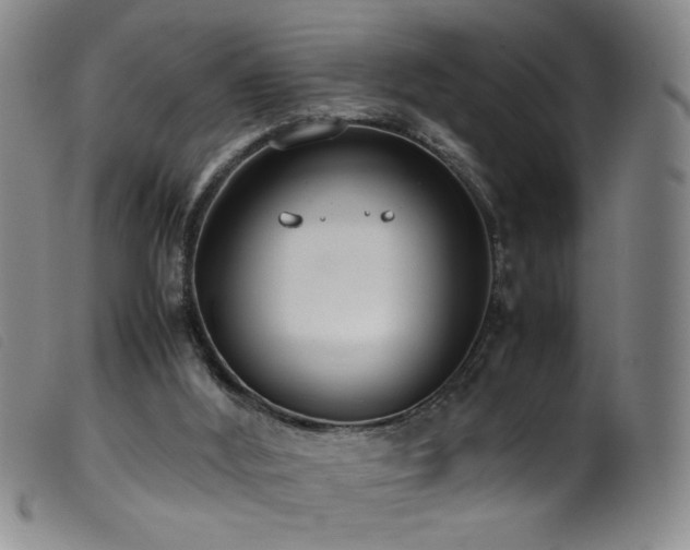 X0000099550012200805161503