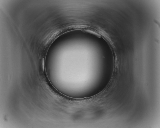 X0000099550013200805161503