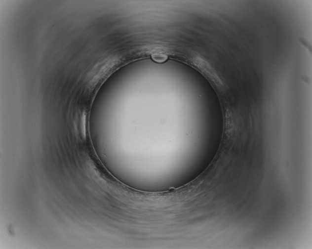 X0000099550014200805161503