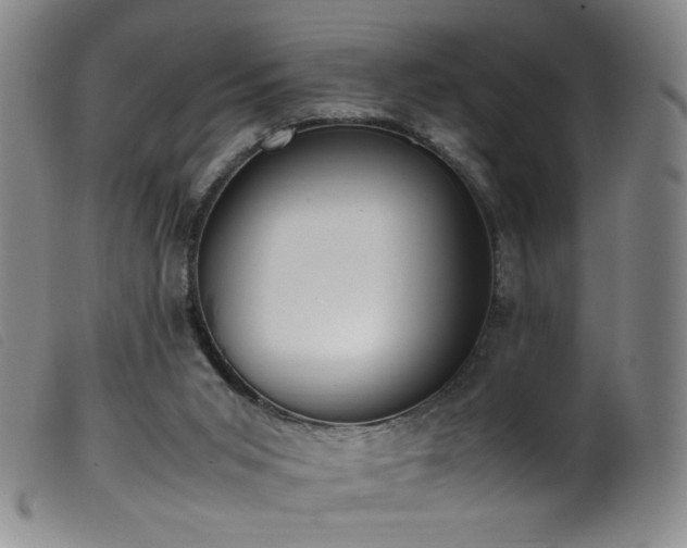 X0000099550015200805161503