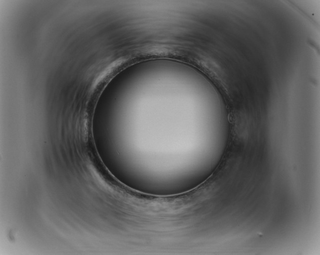 X0000099550016200805161503