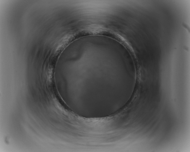 X0000099550018200805161503