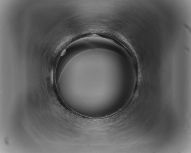 X0000099550019200805161503