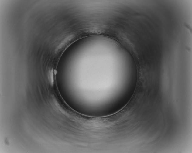 X0000099550020200805161503