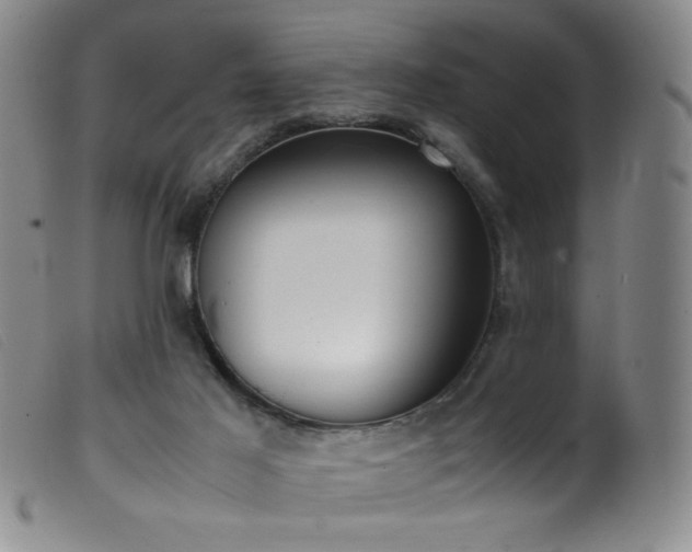 X0000099550021200805161503