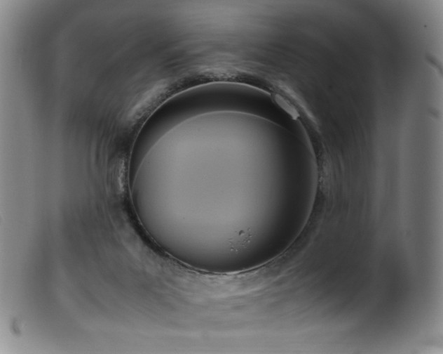 X0000099550023200805161503