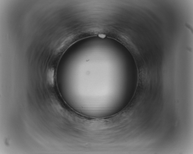 X0000099550024200805161503