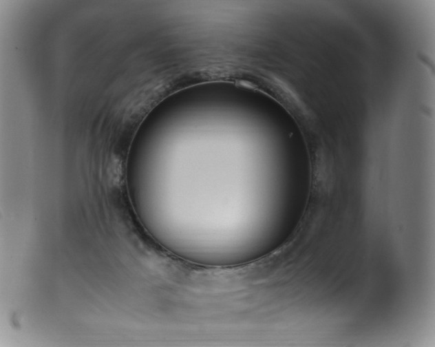 X0000099550025200805161503