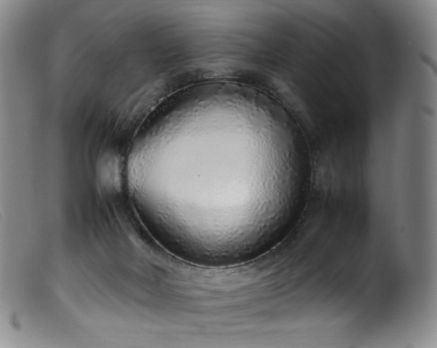 X0000099550026200805161503