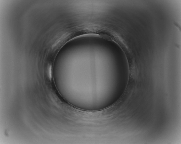 X0000099550027200805161503