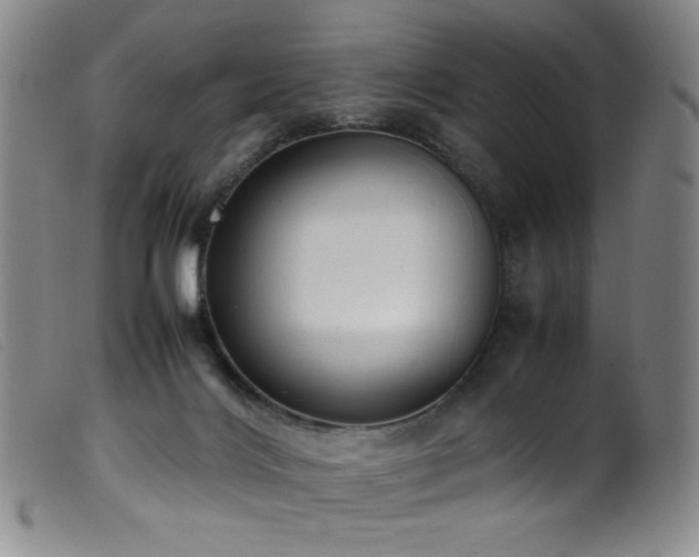 X0000099550028200805161503