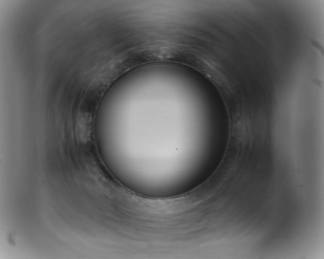 X0000099550030200805161503