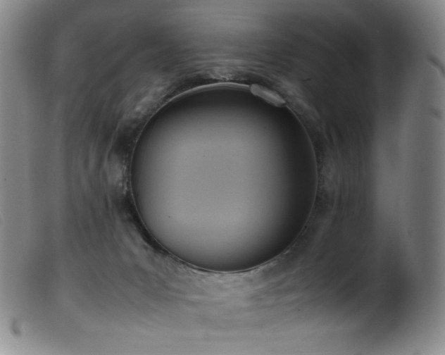 X0000099550031200805161503