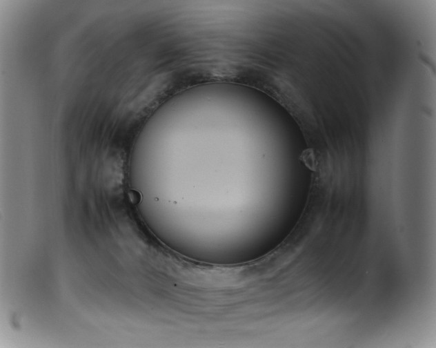 X0000099550032200805161503