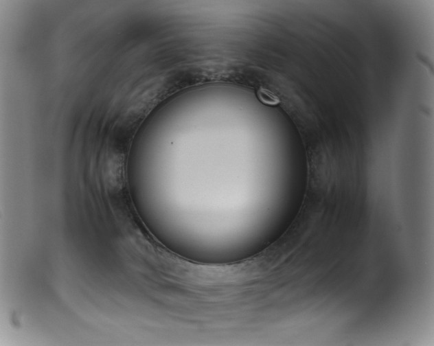 X0000099550034200805161503