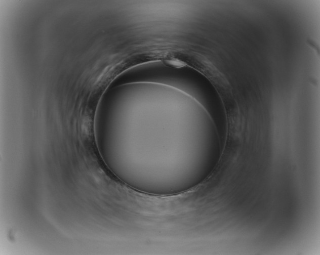 X0000099550035200805161503