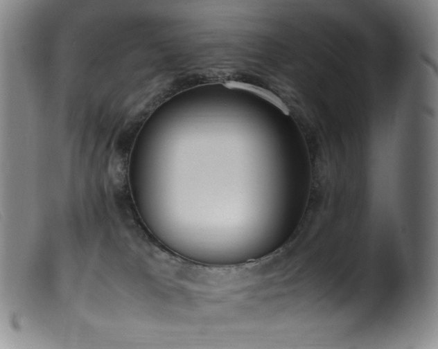 X0000099550037200805161503