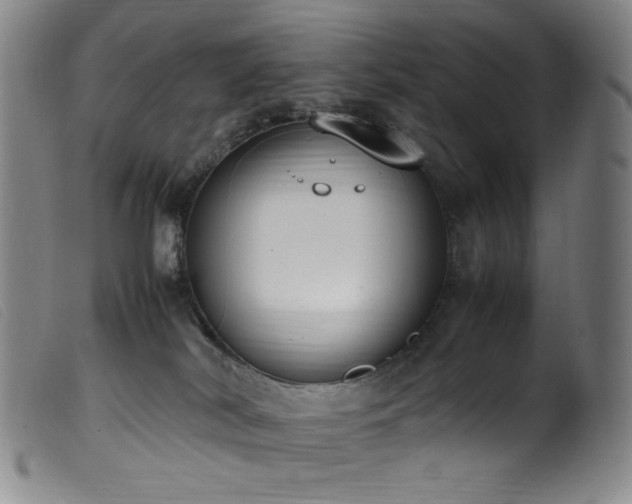 X0000099550038200805161503