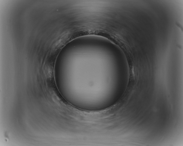X0000099550039200805161503