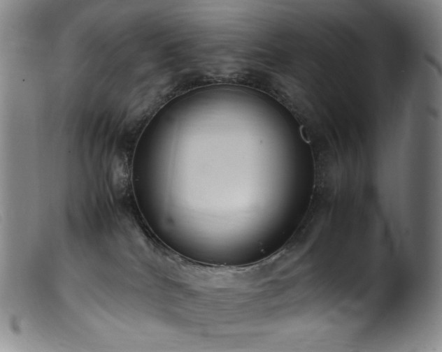 X0000099550040200805161503
