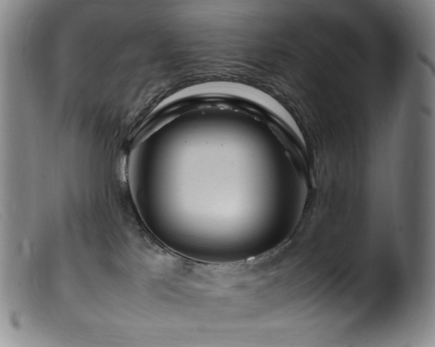 X0000099550041200805161503