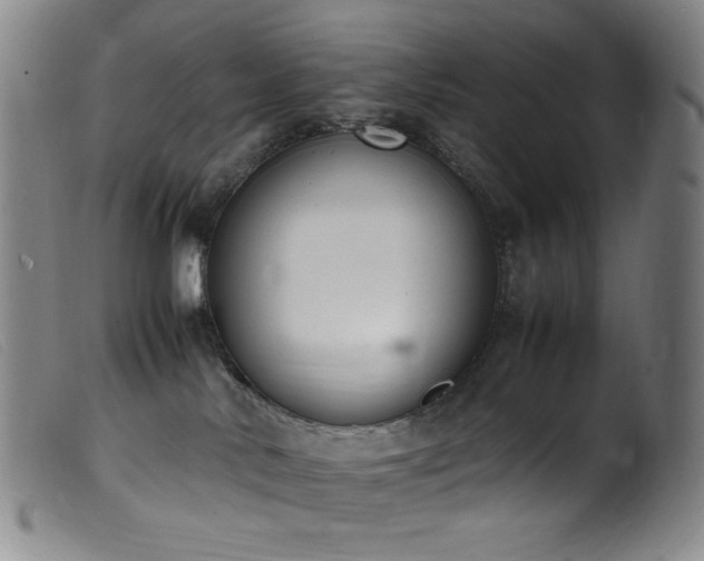 X0000099550042200805161503