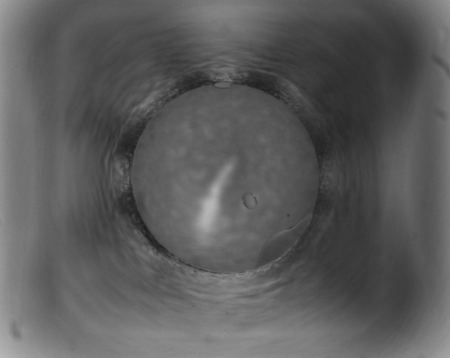 X0000099550043200805161503