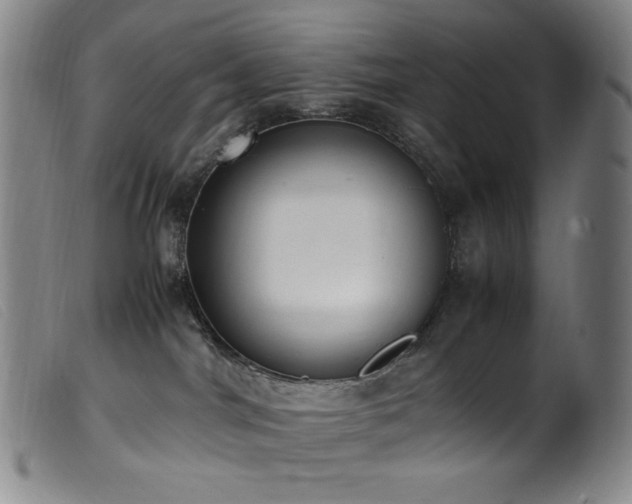 X0000099550044200805161503