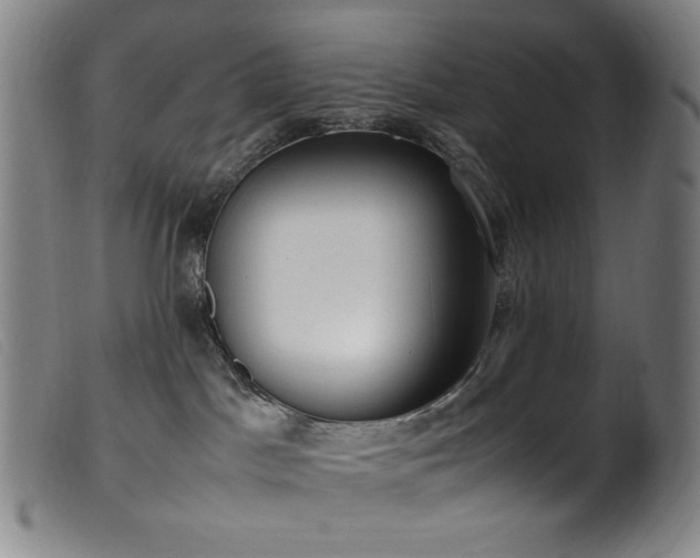 X0000099550045200805161503