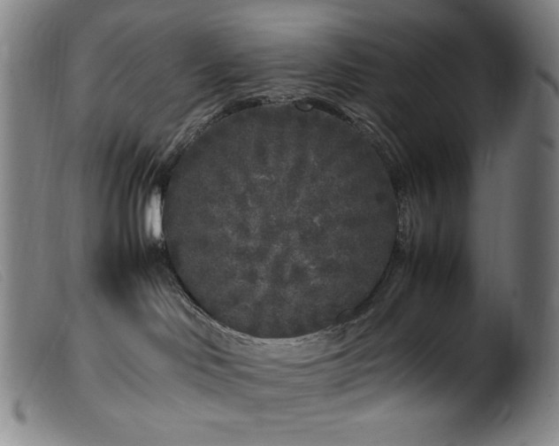 X0000099550046200805161503