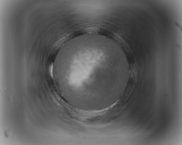 X0000099550047200805161503