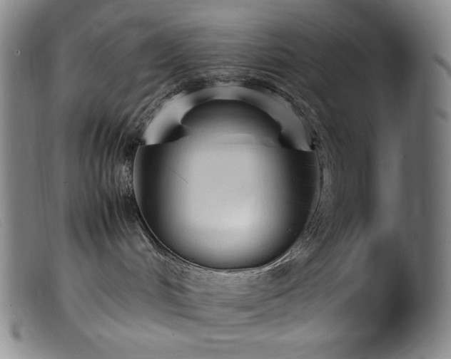 X0000099550048200805161503