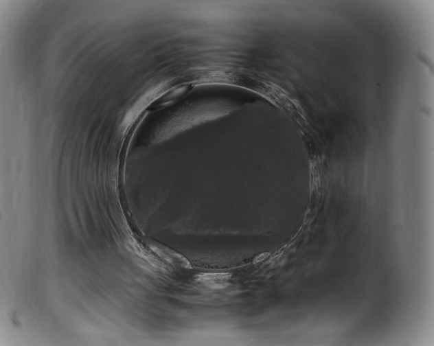 X0000099550051200805161502