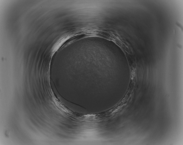 X0000099550052200805161502